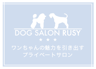 ワンちゃんの魅力を引き出すプライベートサロン